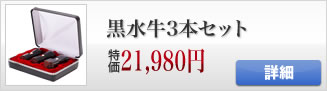 黒水牛の法人印鑑３本セット