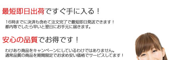 キャンペーン製品の特徴