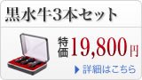黒水牛の法人印鑑３本セット