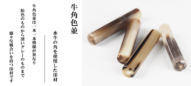 牛角の説明