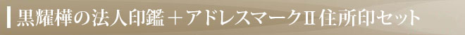 アドレスマークⅡ住所印（ゴム印）付きセット
