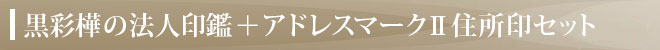 アドレスマークⅡ住所印（ゴム印）付きセット